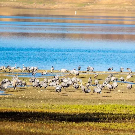 L'oasis Des Pyrenees Σπίτι διακοπών *