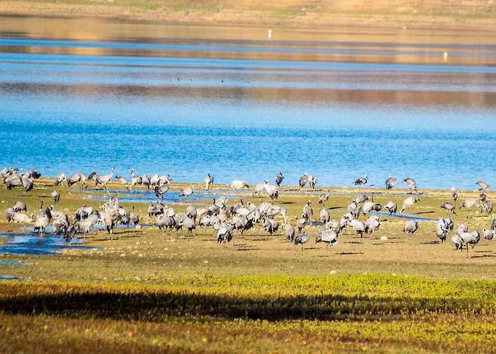 L'oasis Des Pyrenees Tatil Evi *