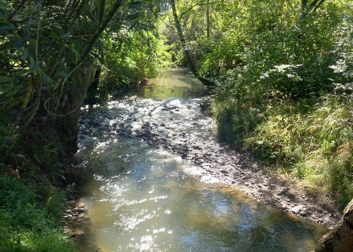 度假居 L'oasis Des Pyrenees